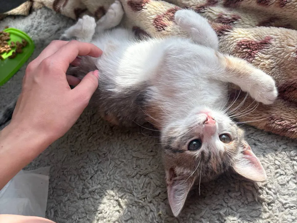 Фото: Елизавета Лоншакова