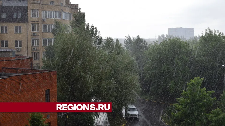 Фото: REGIONS/Александра Никитина