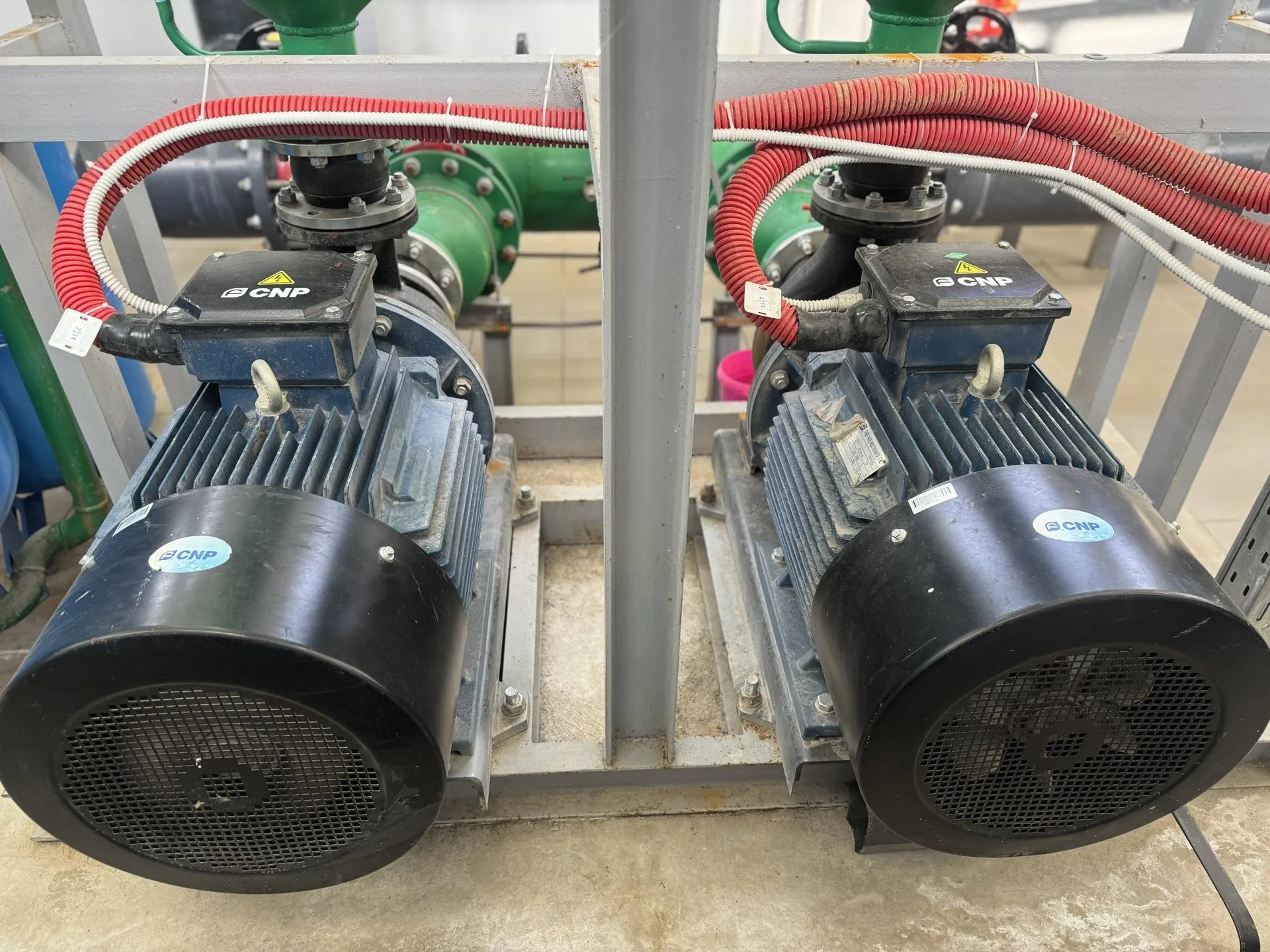 Полина Абраменко