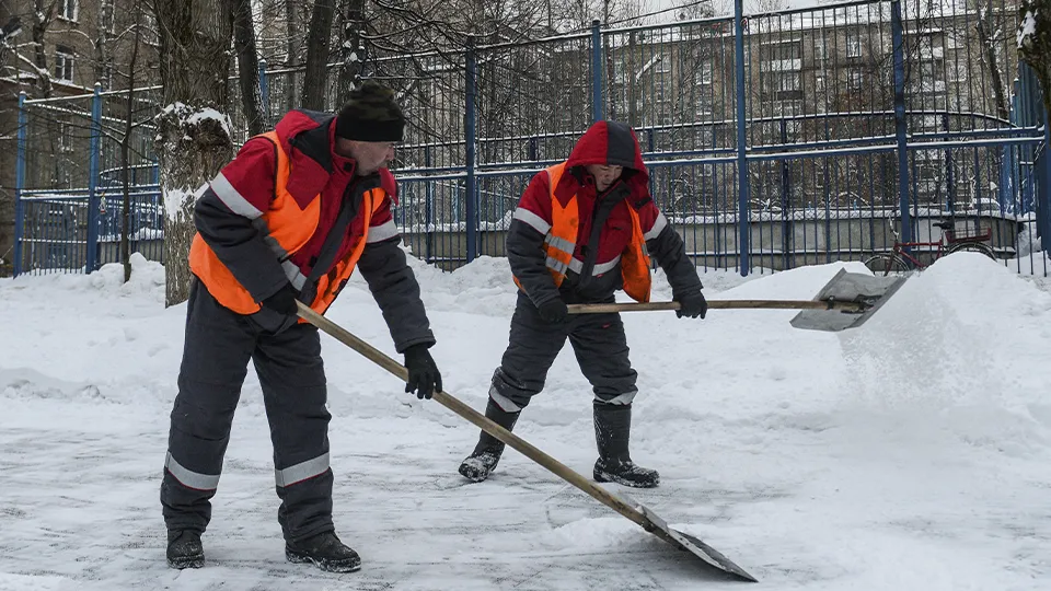 Фото: медиасток.рф