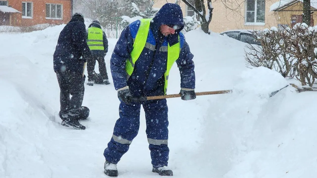 МедиаБанк Подмосковья/Анна Шолохова