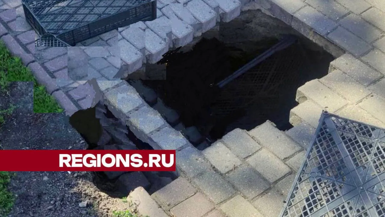 Фото: t.me/ru_balashiha