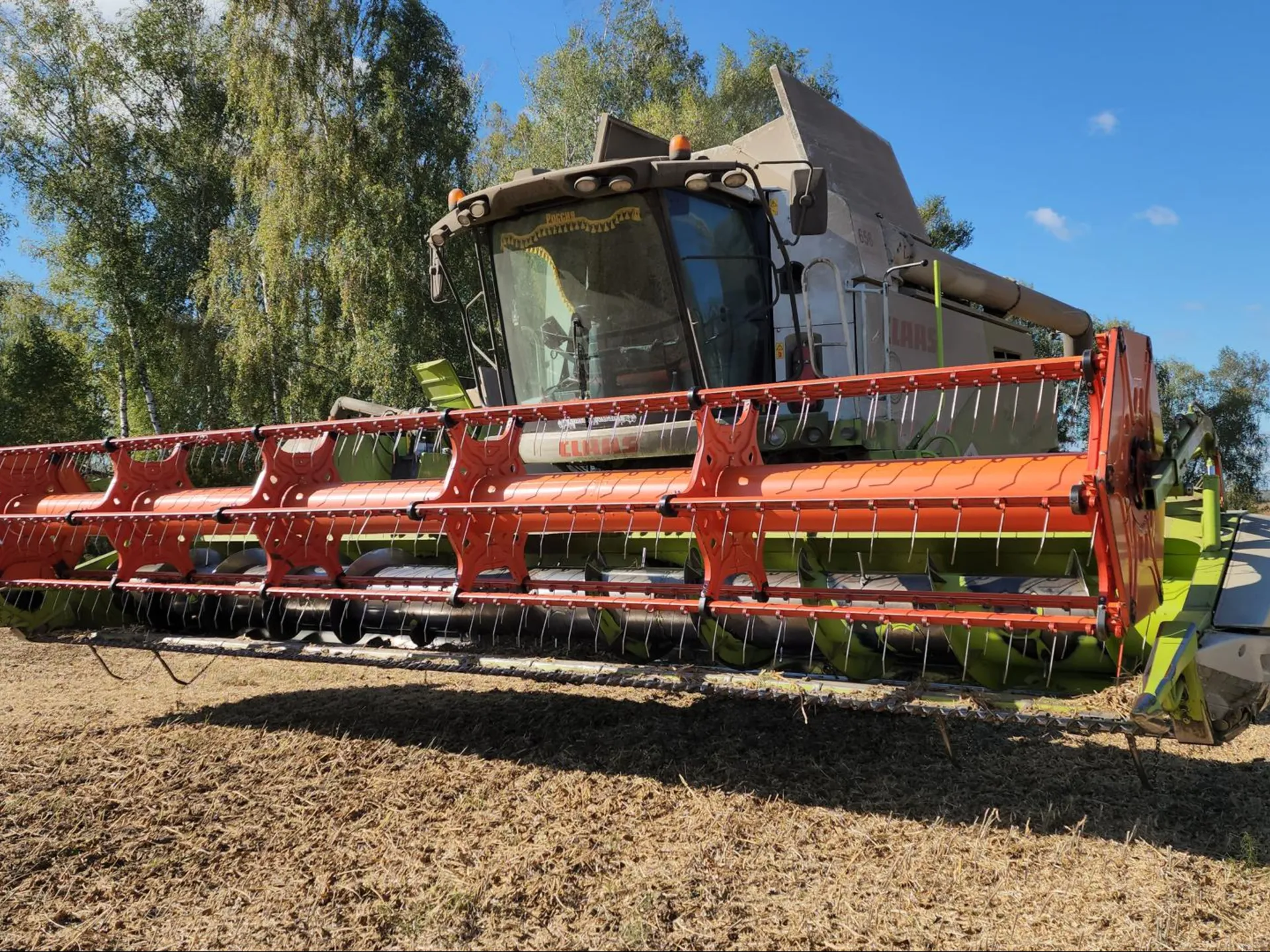 Фото: Медиабанк Подмосковья/Юлия Скавронова