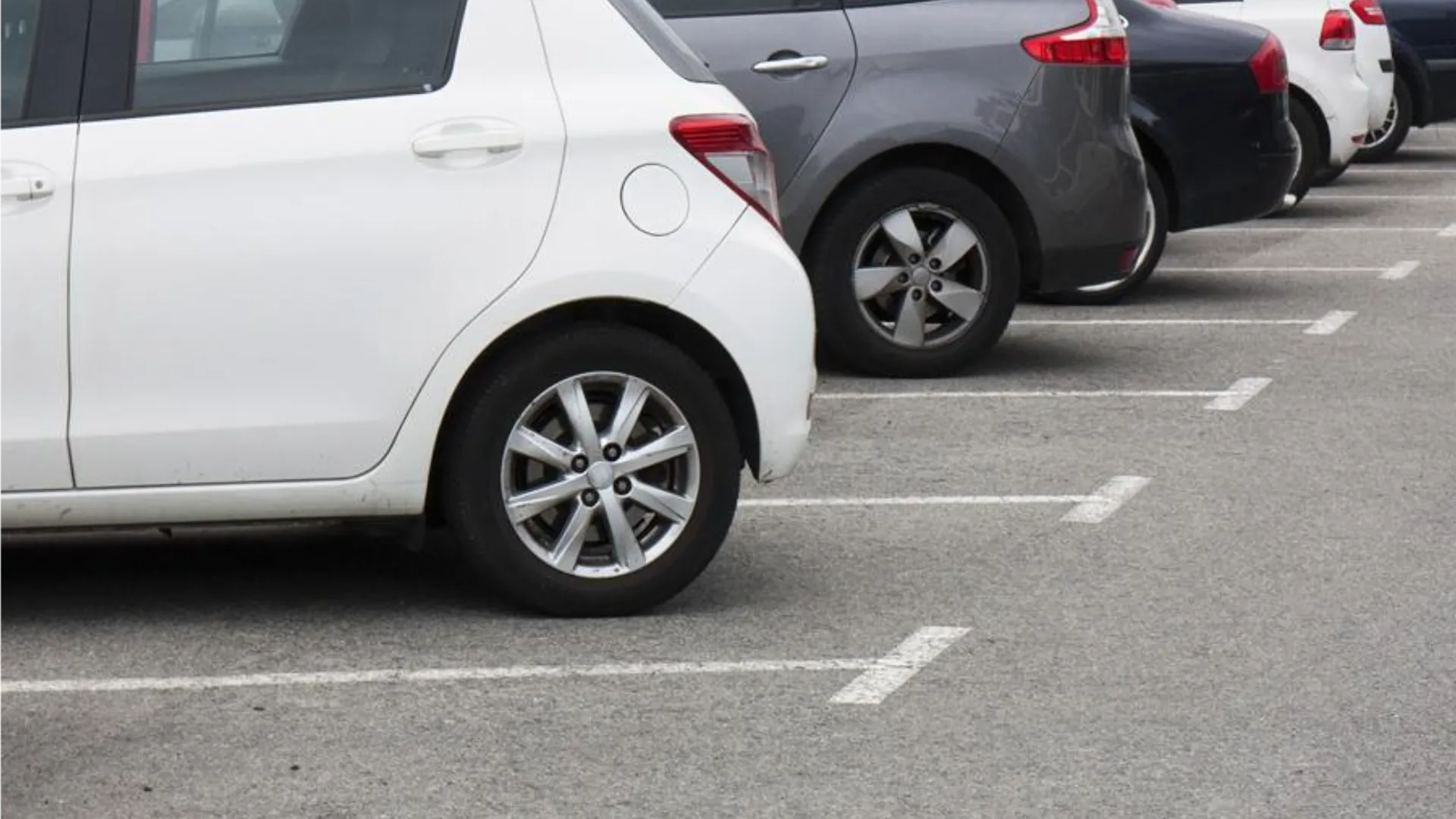 Фото: istockphoto.com/alika1712