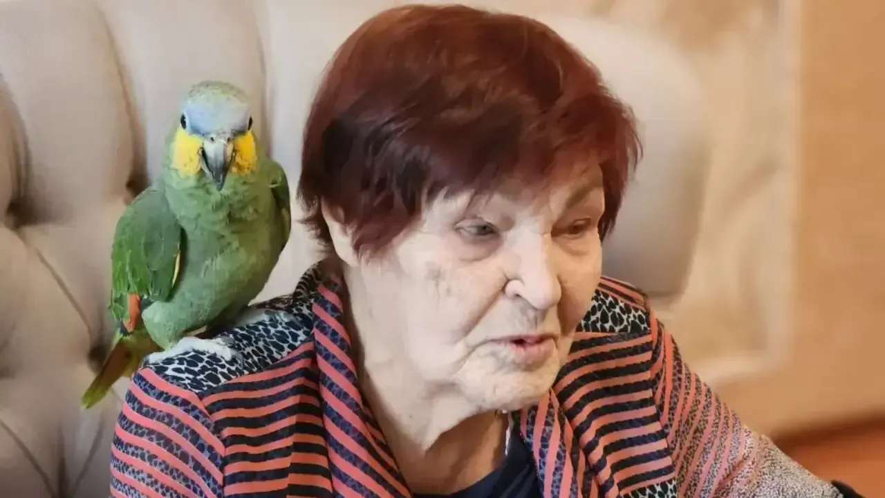 МедиаБанк Подмосковья/Ирина Кузова