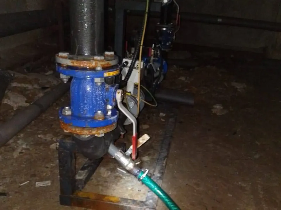 Фото: администрация м.о. Чехов