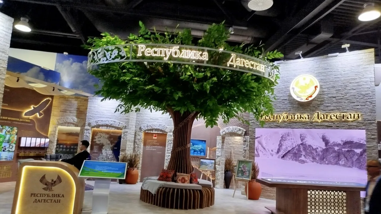 Фото: пресс-служба администрации г.о. Лобня