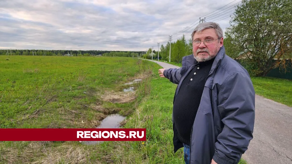 Фото: Елена Лабзина