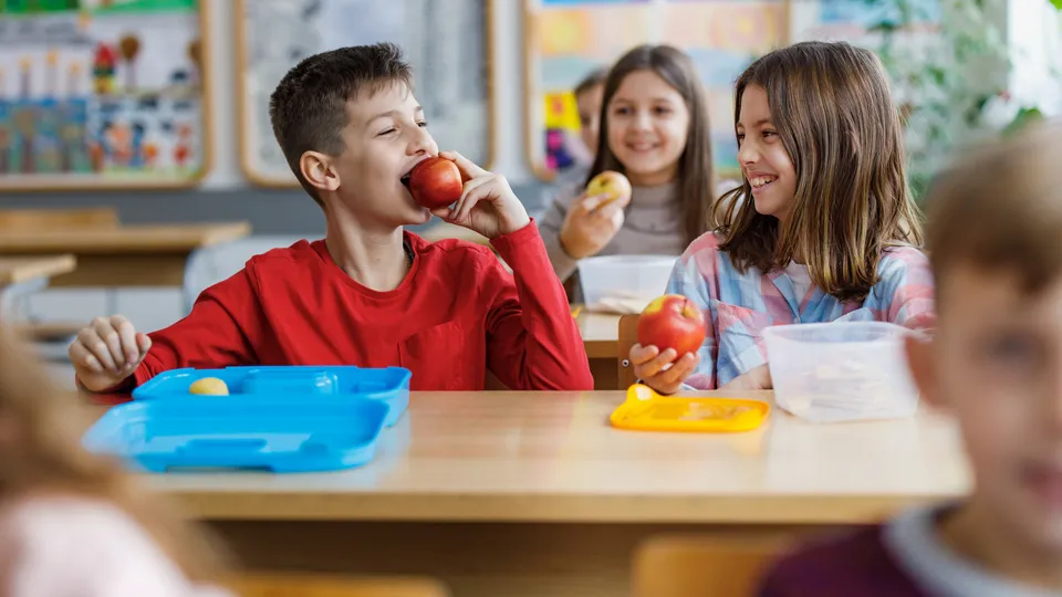 Фото: istockphoto.com/StockPlanets