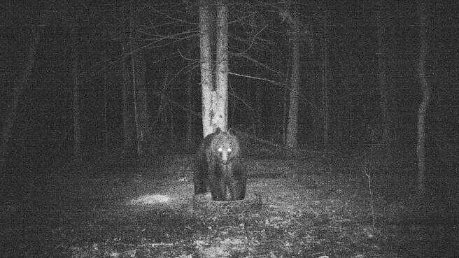 Фото: пресс-служба министерства природных ресурсов и экологии Тульской области