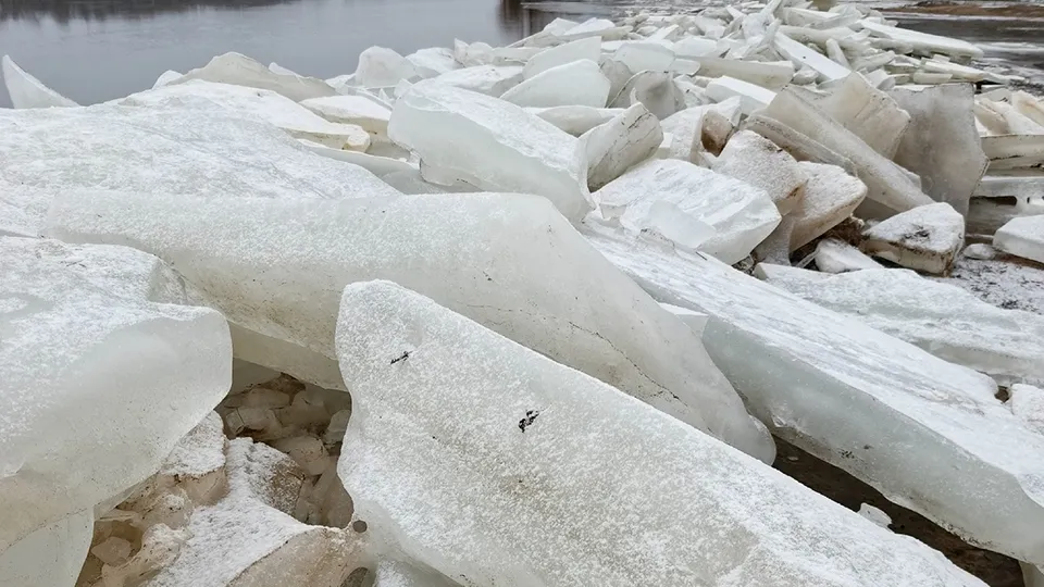 Фото: Николай Крайнов