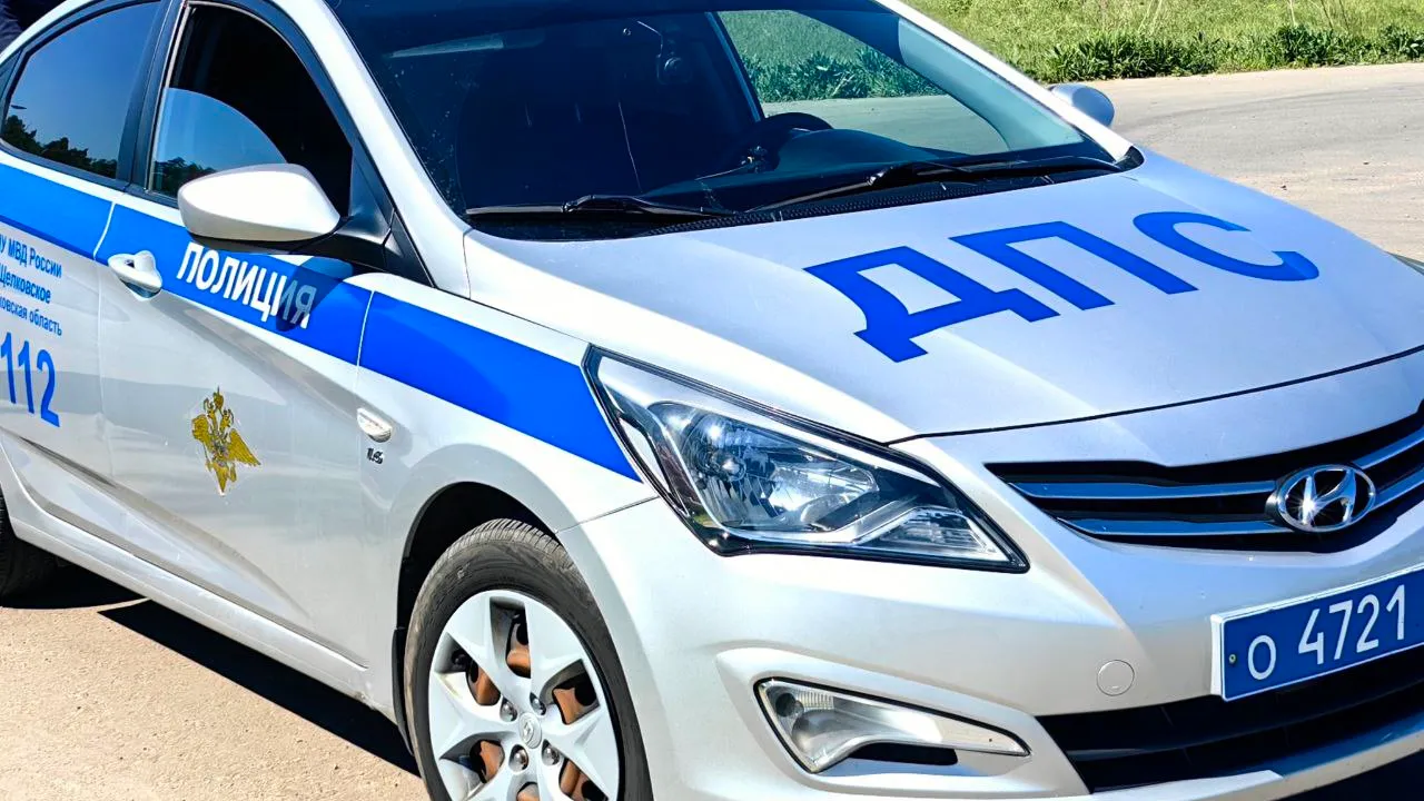 Фото: Елена Катасонова