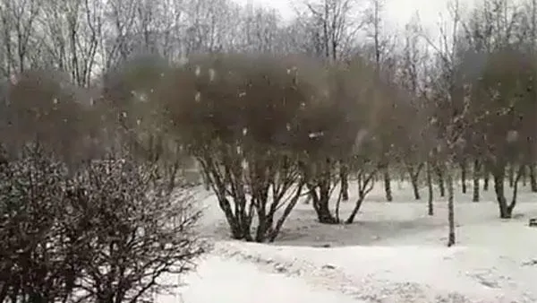 В Мытищах сняли на видео огромные снежинки