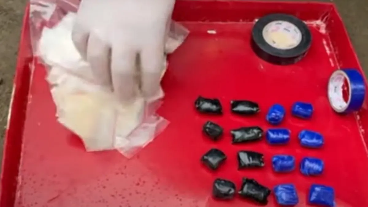 Скриншот из видео пресс-службы ГУ МВД России по Московской области