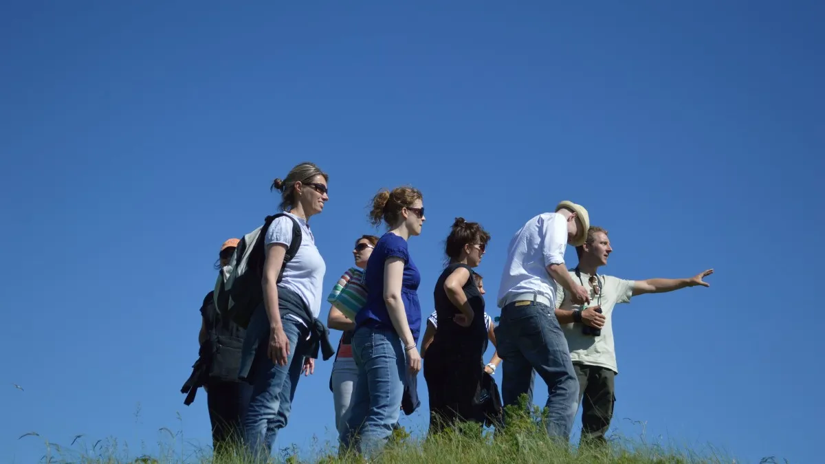 Фото: pxhere.com