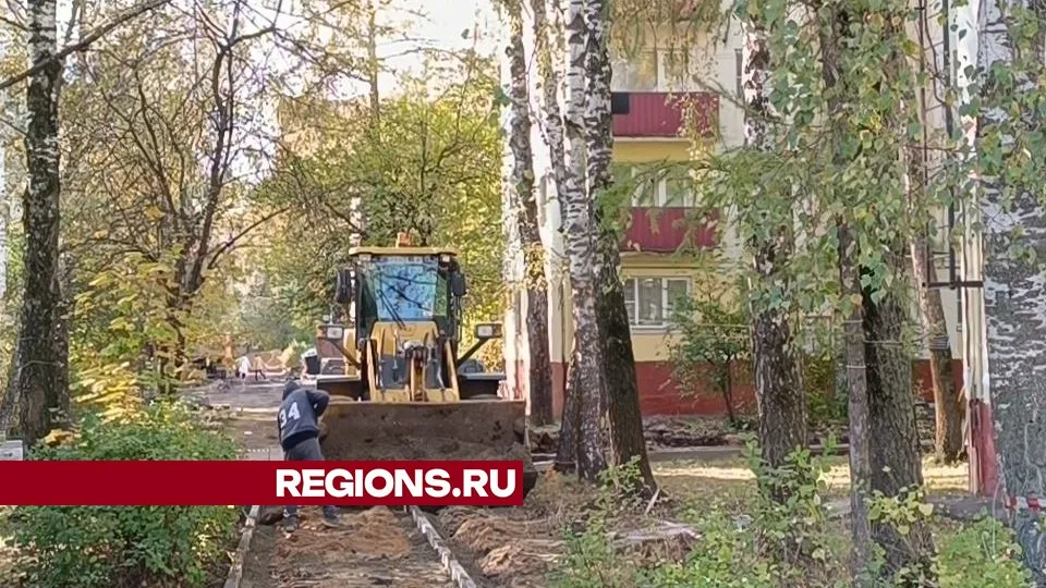 Фото: Екатерина Дятловская