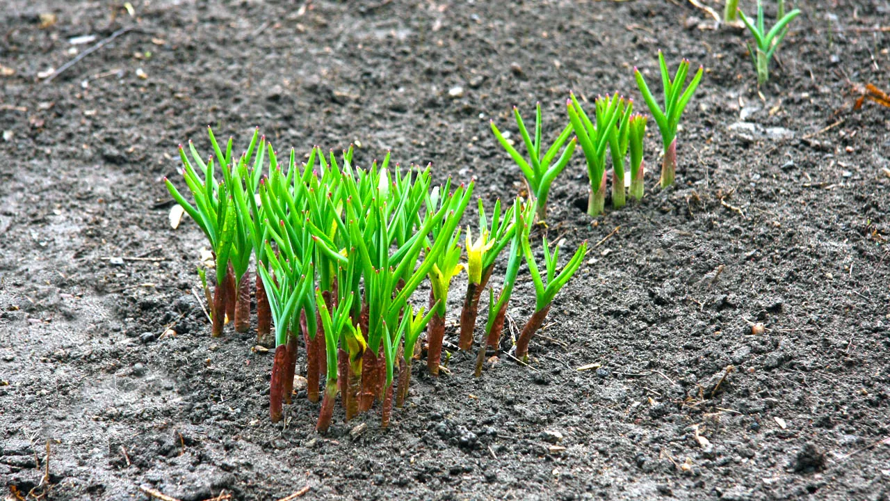 Фото: Дмитрий Кравцов