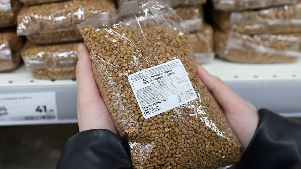 Фото: ТАСС/Эрик Романенко