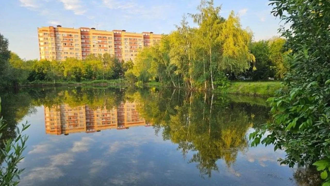 Пруд в Техническом саду в Егорьевске расчистили в рамках программы «100 прудов и озер»