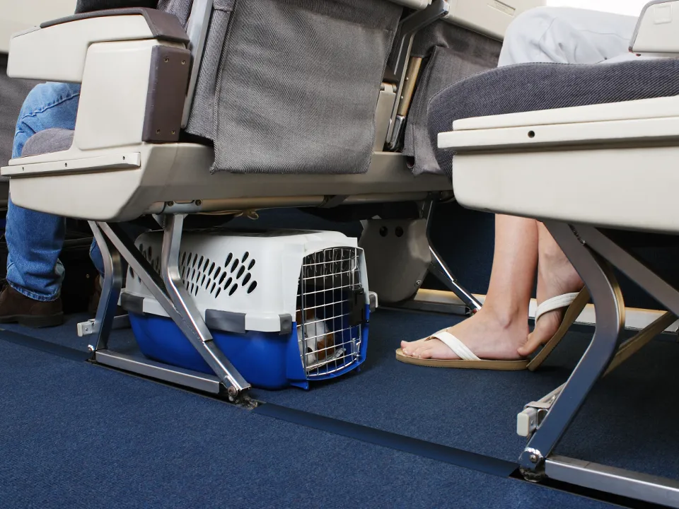 Фото: istockphoto.com