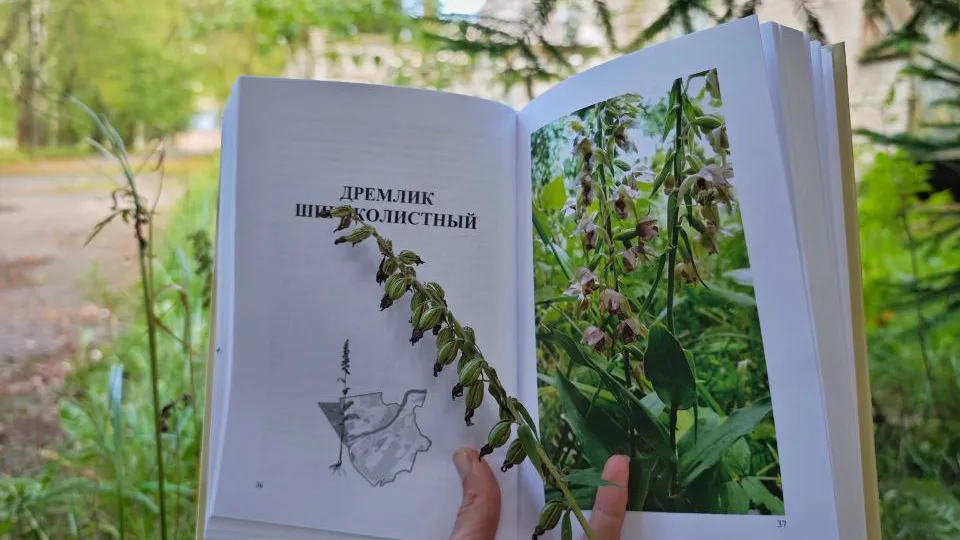 Фото: телеканал «Дубна»