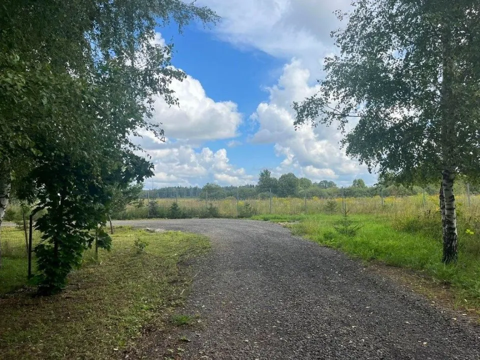 Фото: t.me/piragova