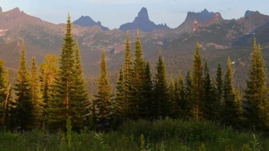 Туристку убило молнией во время похода в Красноярском крае
