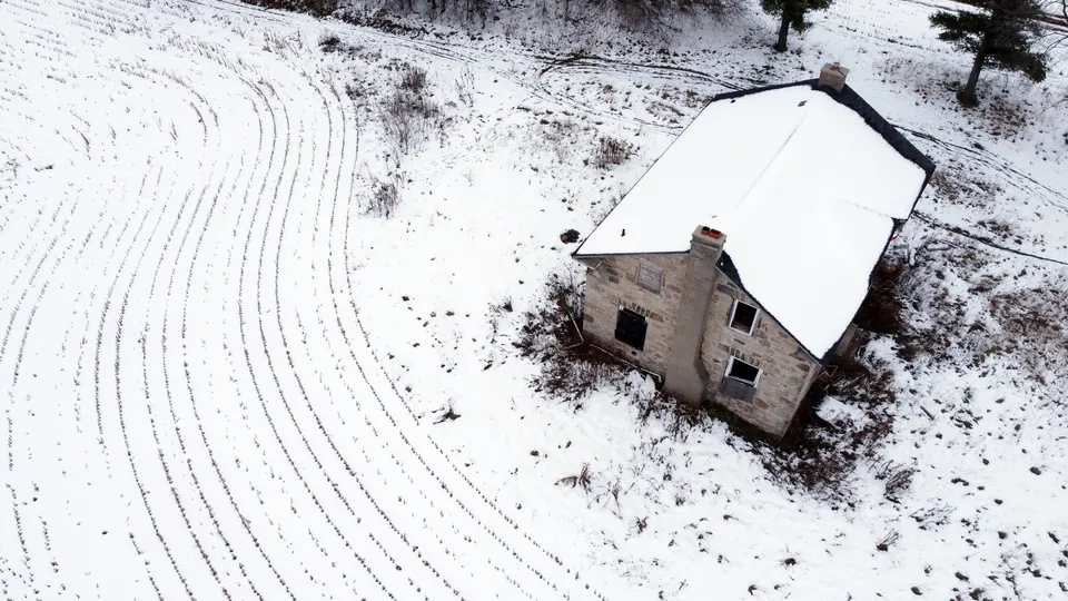 Фото: freepik.com