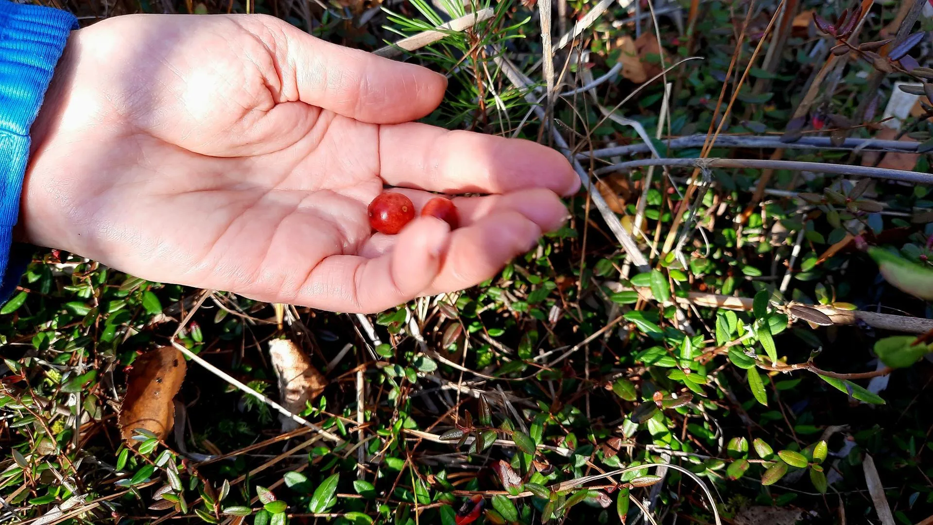 Михаил Мартыненко