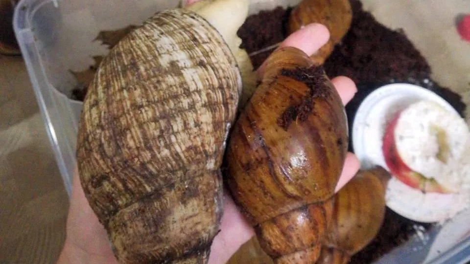 Пресс-служба Министерства жилищной политики Московской области