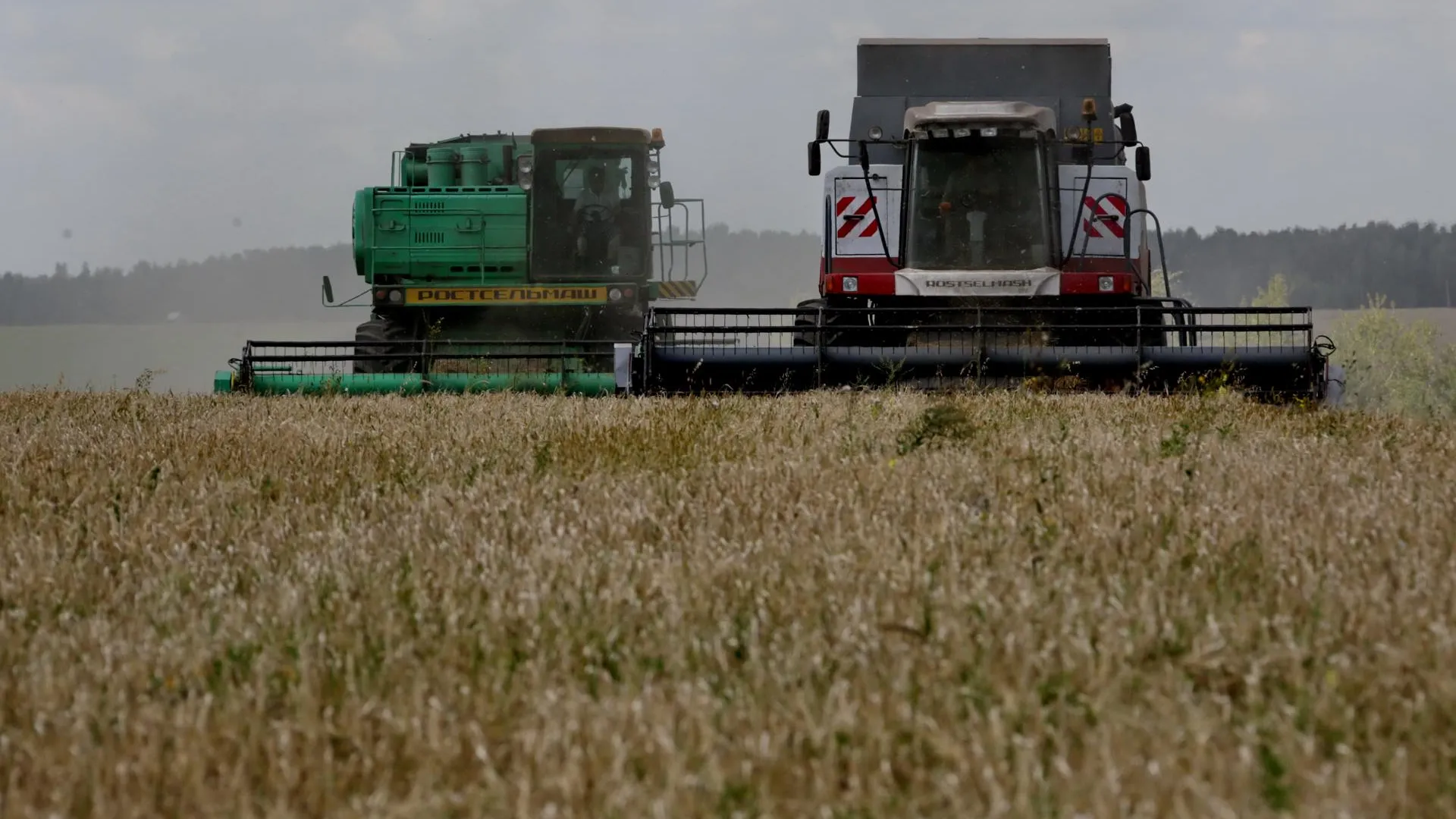 В Крыму планируют увеличить объем производства сельхозпродукции на 25% за шесть лет