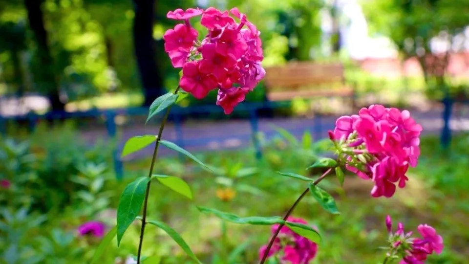 Фото: пресс-служба Администрации г.о. Серпухов