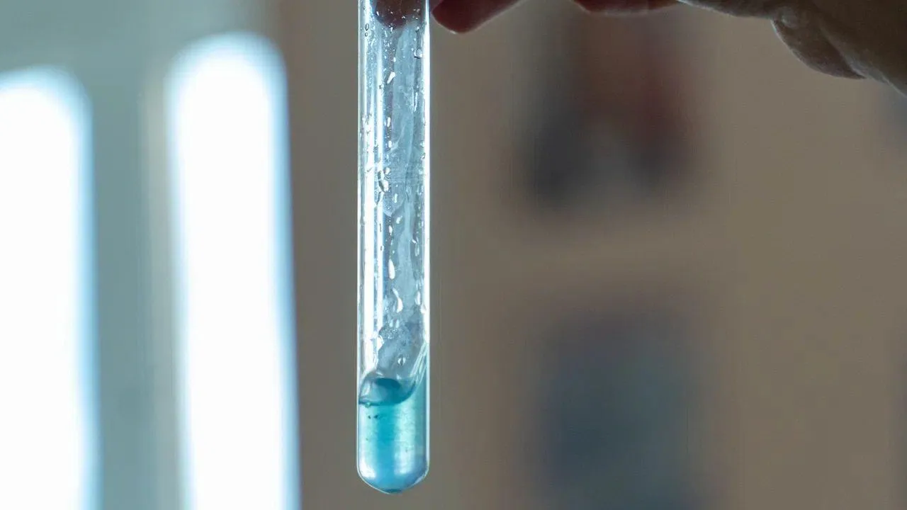 REGIONS/Наталья Надточая