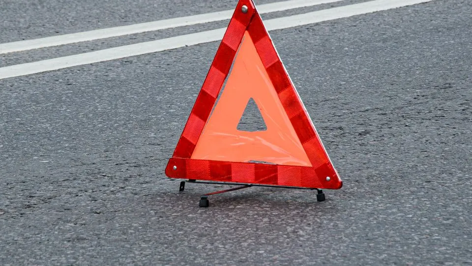 Фото: istockphoto.com/Galina Vetertsovskaya