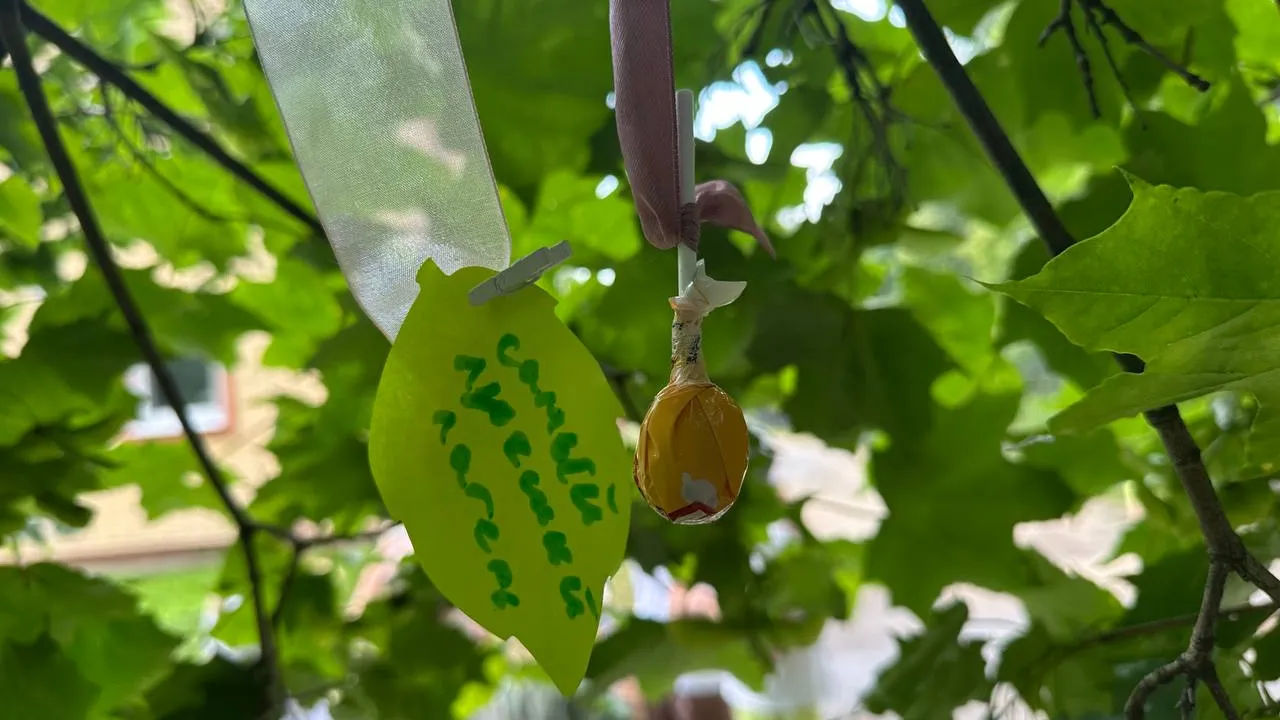 Фото: МУДО ЦДО «МАН Импульс»