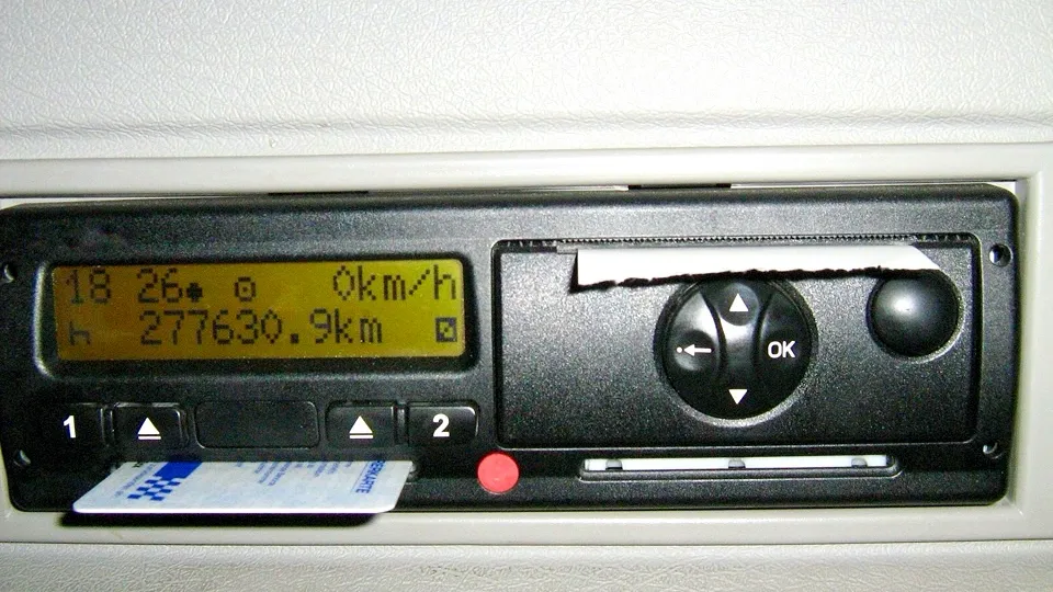 Фото: сommons.wikimedia/selbst