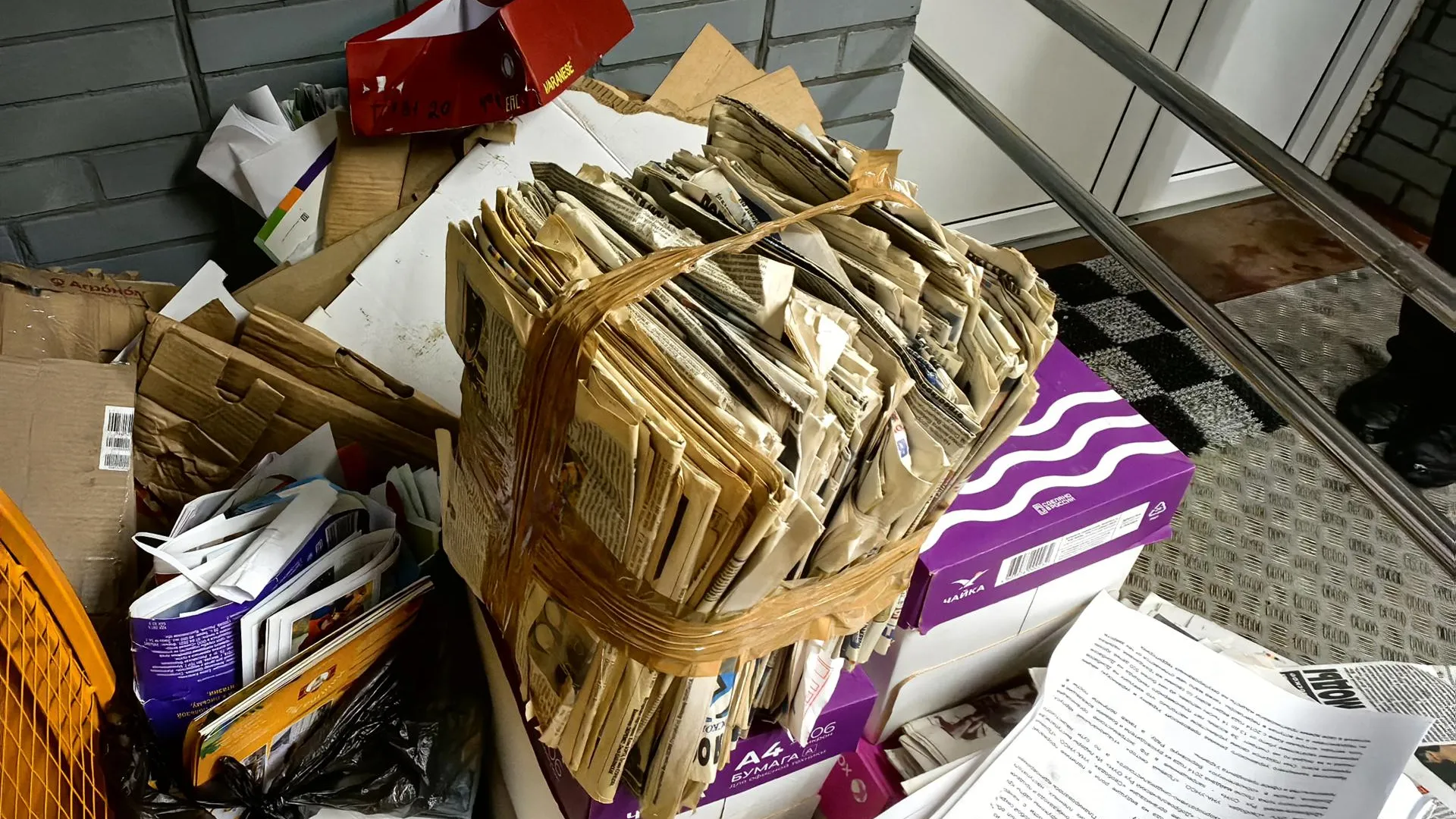 Елена Катасонова