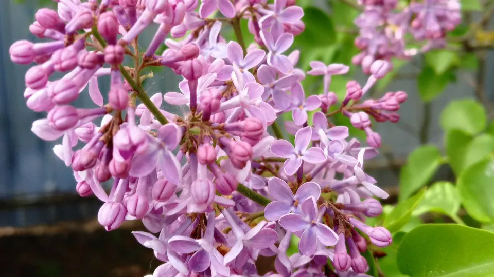 Фото: REGIONS/Василий Тремасов