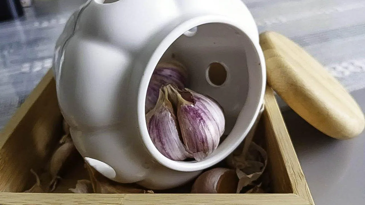 REGIONS/Ирина Горбачева