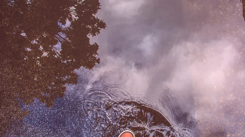 Фото: pxhere.com