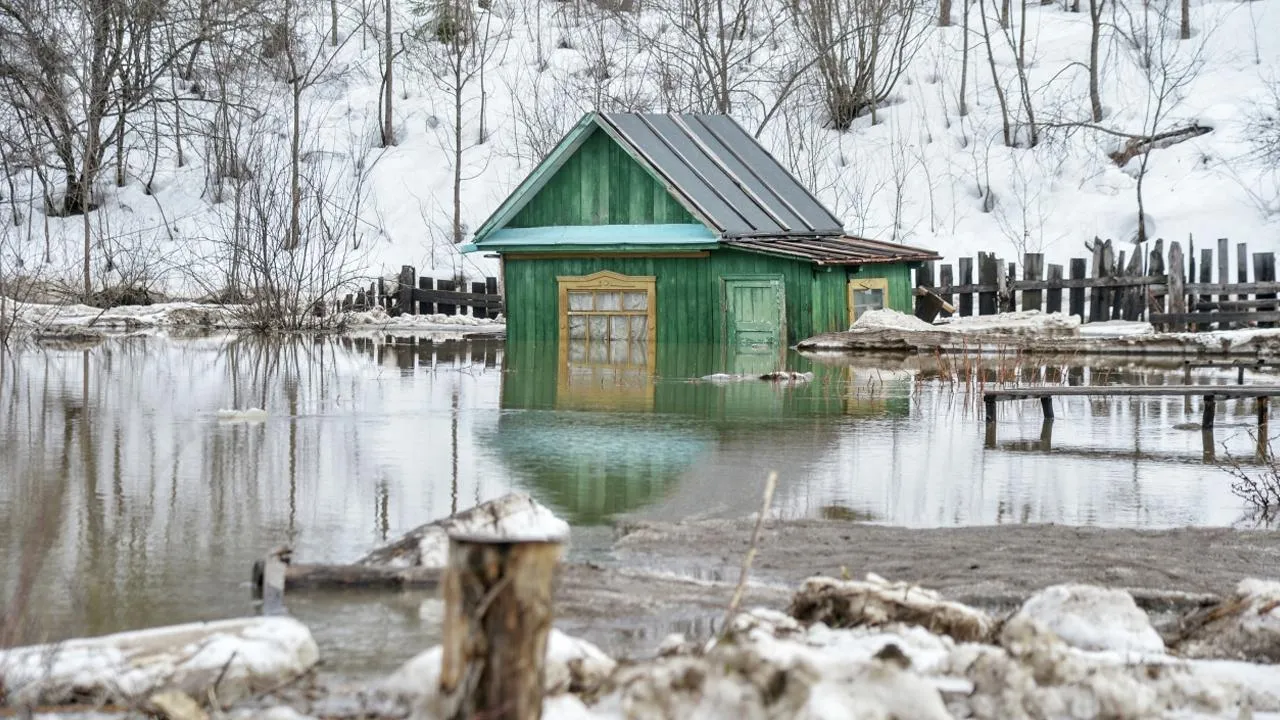 РИА Новости/Александр Кондратюк