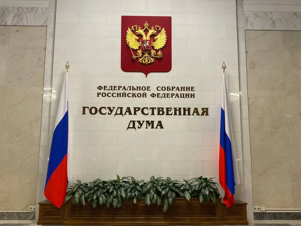 «Можно и нужно делать»: в Госдуме предложили изменить систему досмотра граждан на границе