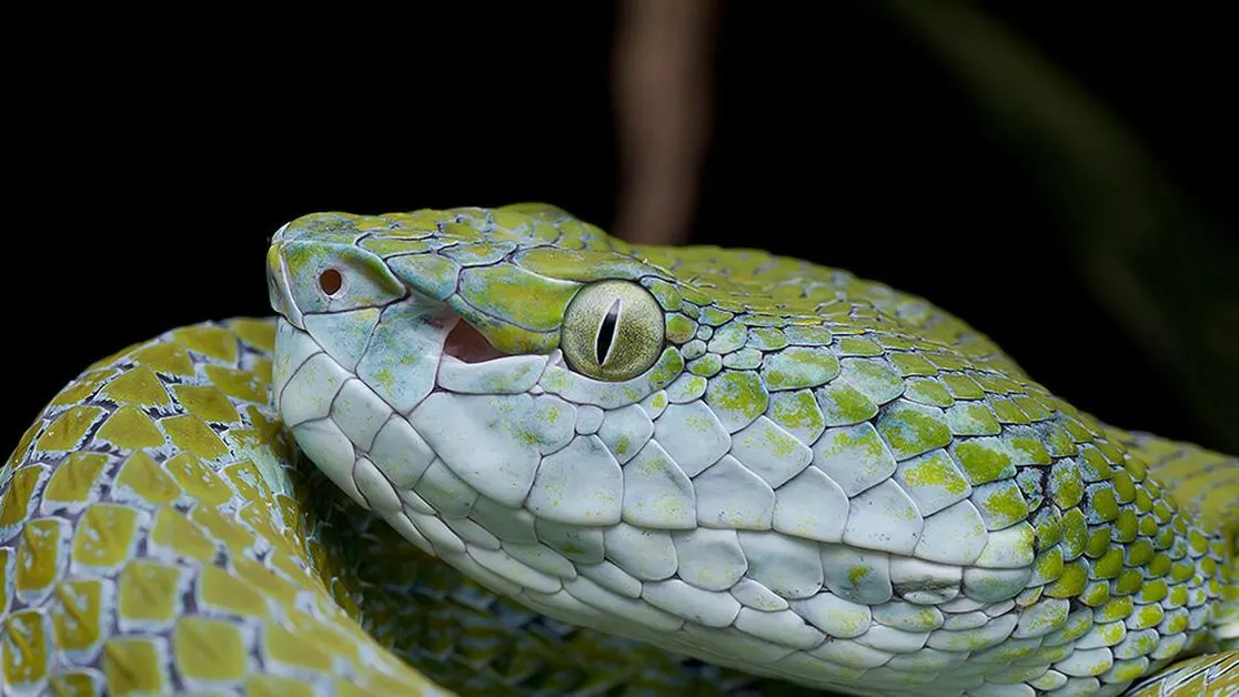 медиасток.рф