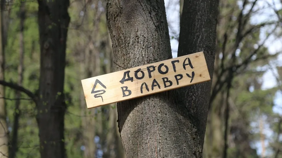 Фото: dorogavposad.ru