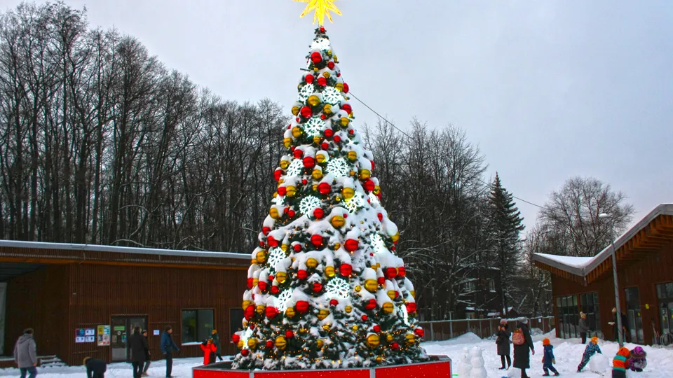 Фото: REGIONS/Дмитрий Кравцов