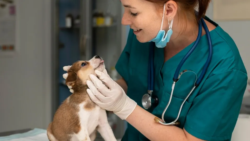 Фото: freepik.com