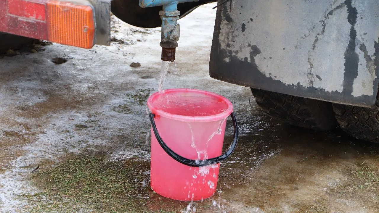 МедиаБанк Подмосковья/Ирина Матвеева