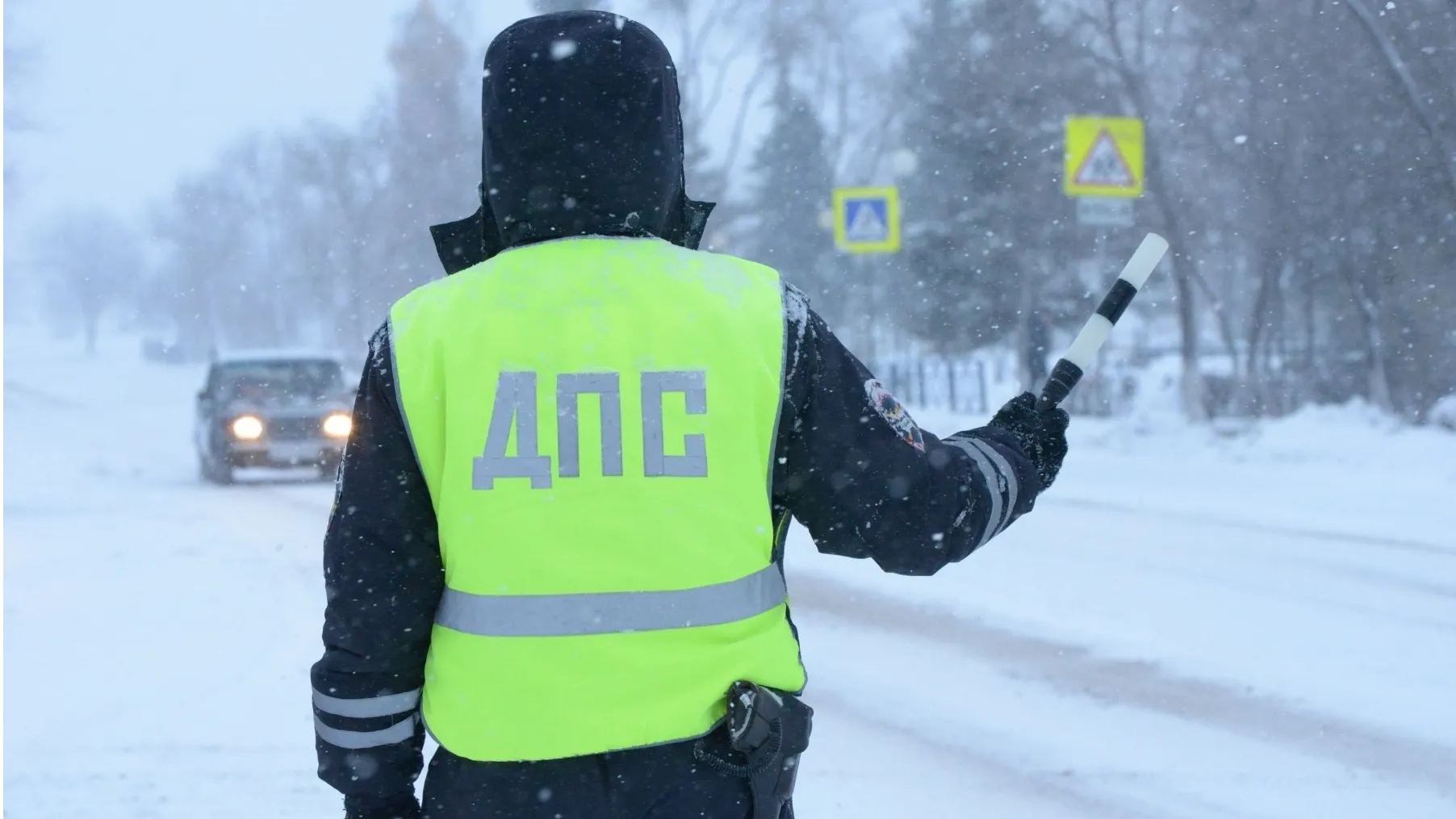 Фото: Пресс-служба ОМВД России по г.о. Ступино