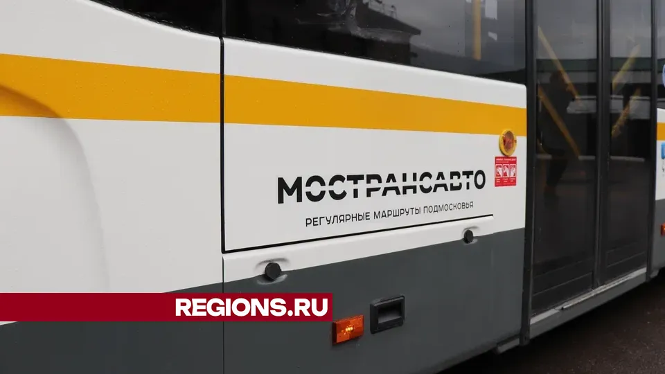 Фото: REGIONS/Василий Тремасов