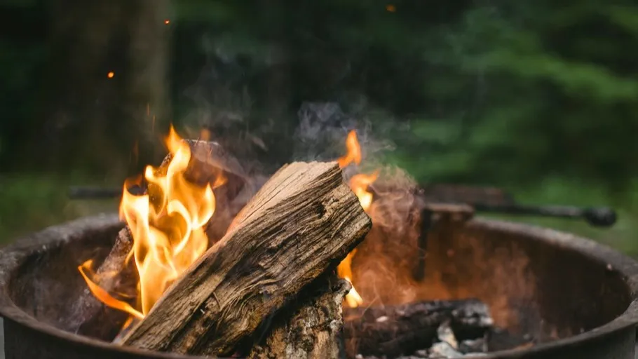 Фото: pxhere.com